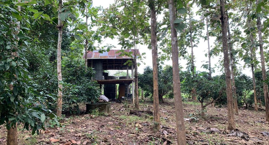 For sale land in Pua, Nan