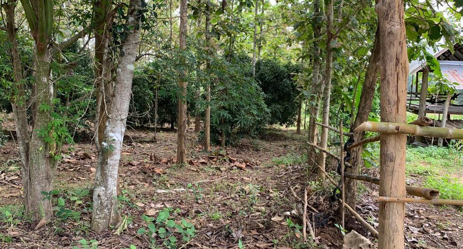 For sale land in Pua, Nan