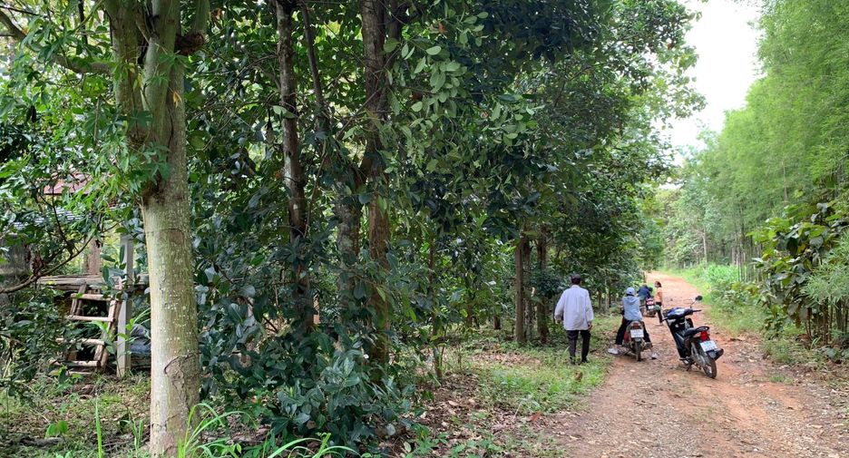 For sale land in Pua, Nan