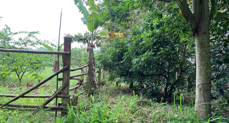 For sale land in Pua, Nan