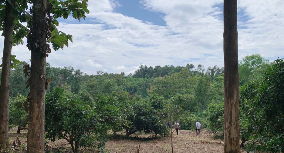 For sale land in Pua, Nan