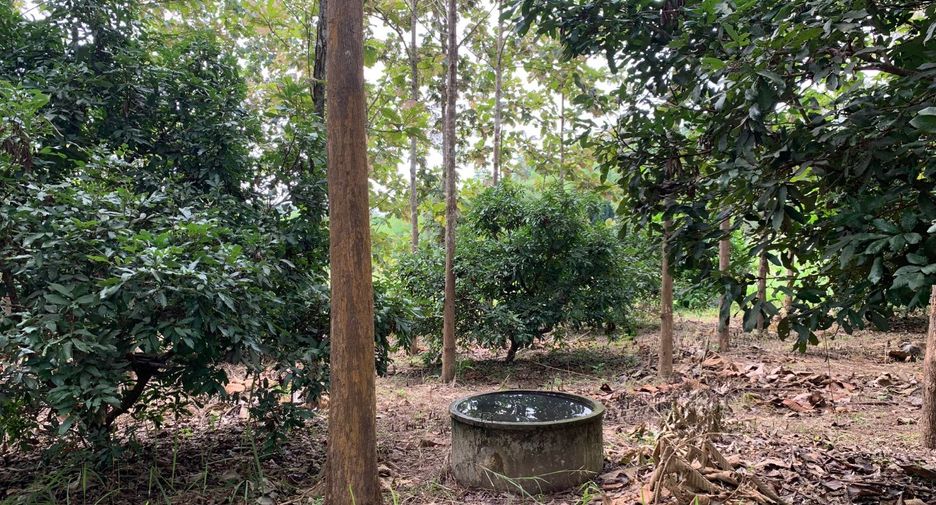 For sale land in Pua, Nan