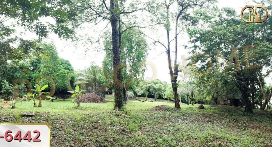 For sale land in Khlong Yai, Trat