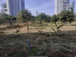 For sale land in Bang Lamung, Chonburi