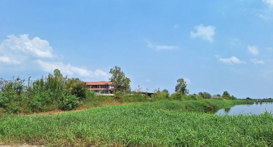 ขาย ที่ดิน ใน พานทอง, ชลบุรี