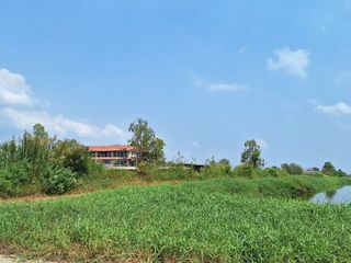 ขาย ที่ดิน ใน พานทอง, ชลบุรี
