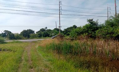 For sale land in Ban Pho, Chachoengsao
