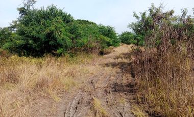 For sale land in Ban Pho, Chachoengsao