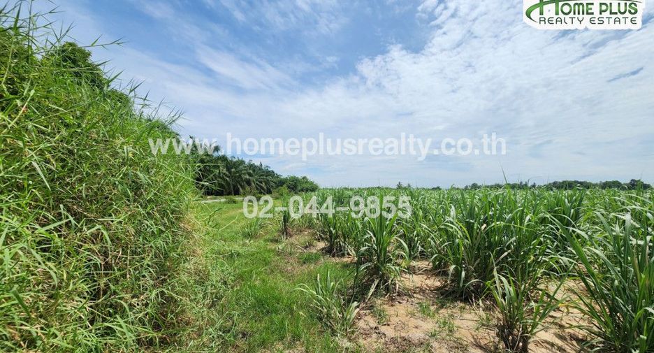 À vendre terrain à Kamphaeng Saen, Nakhon Pathom