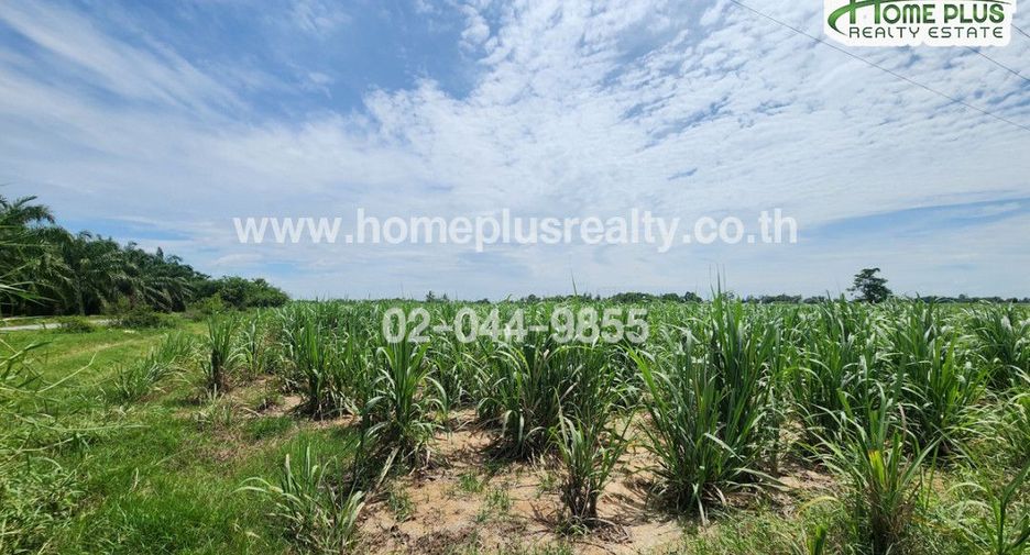 À vendre terrain à Kamphaeng Saen, Nakhon Pathom