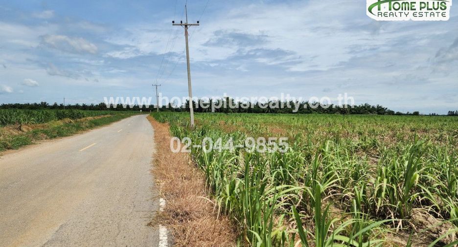 À vendre terrain à Kamphaeng Saen, Nakhon Pathom