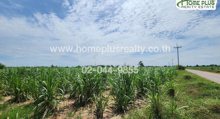 À vendre terrain à Kamphaeng Saen, Nakhon Pathom