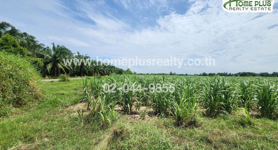 À vendre terrain à Kamphaeng Saen, Nakhon Pathom