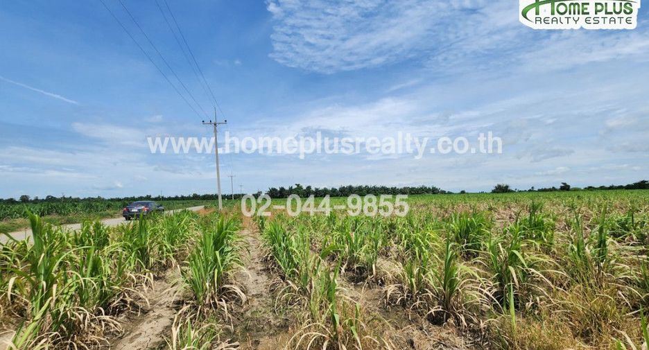 À vendre terrain à Kamphaeng Saen, Nakhon Pathom