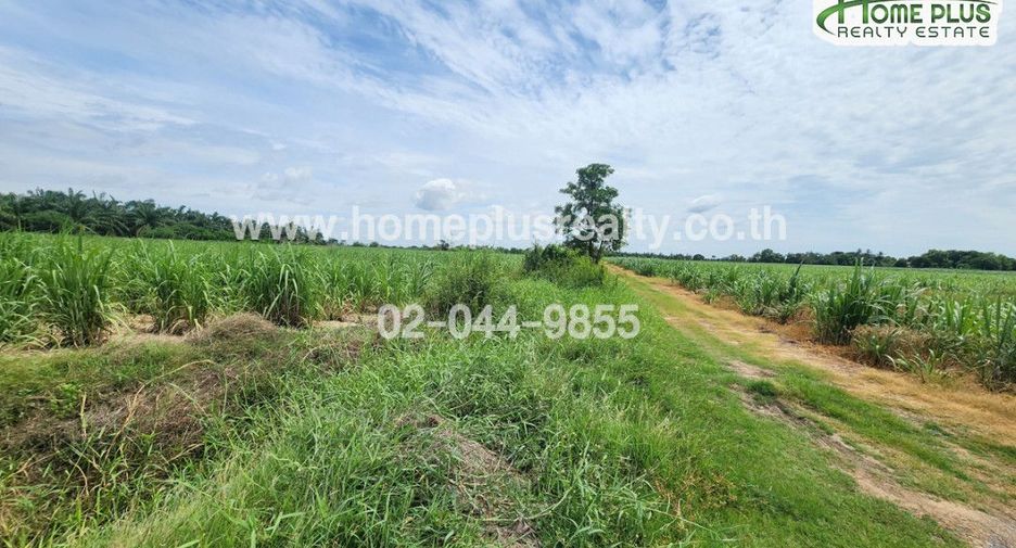 À vendre terrain à Kamphaeng Saen, Nakhon Pathom