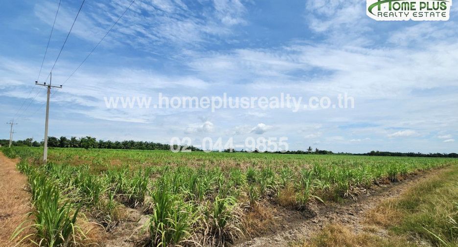 À vendre terrain à Kamphaeng Saen, Nakhon Pathom