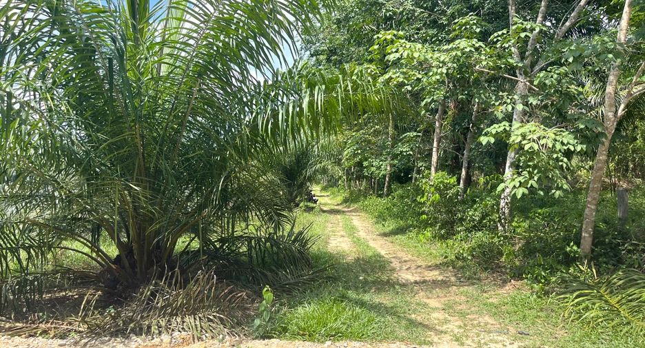 À vendre terrain à Takua Pa, Phang Nga