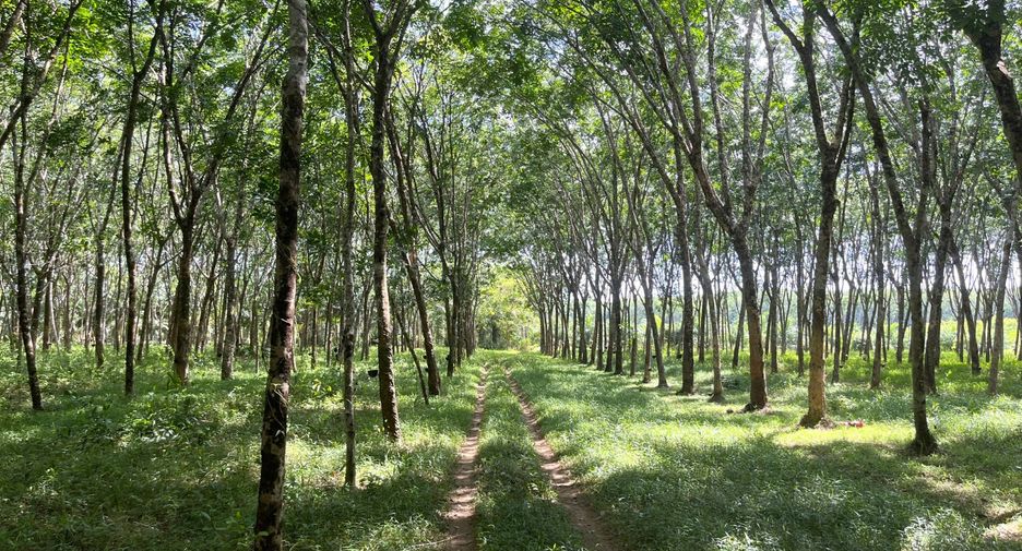 À vendre terrain à Takua Pa, Phang Nga