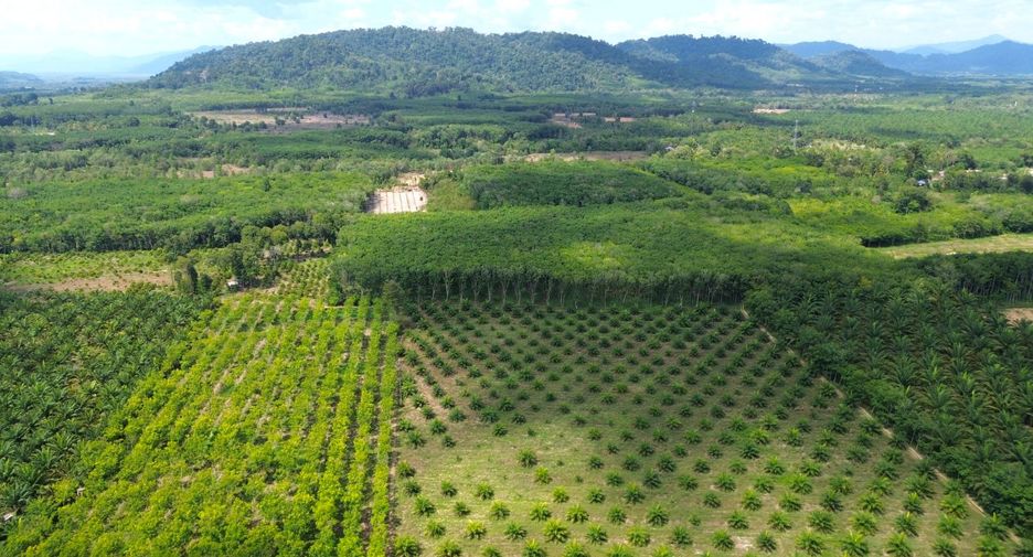À vendre terrain à Takua Pa, Phang Nga