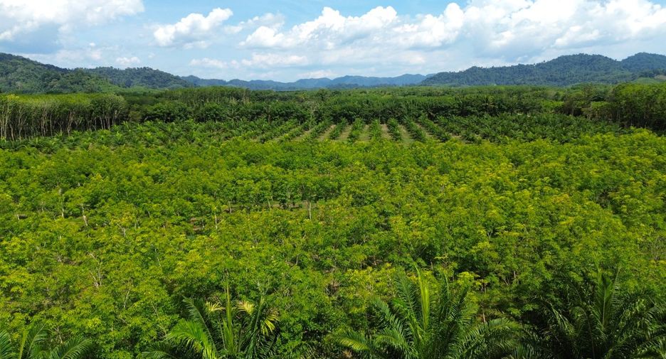 À vendre terrain à Takua Pa, Phang Nga