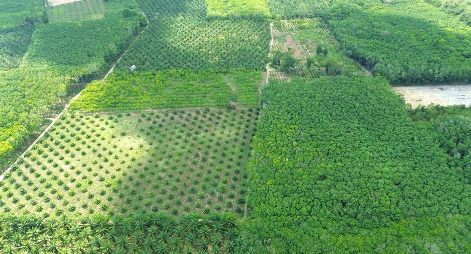 À vendre terrain à Takua Pa, Phang Nga