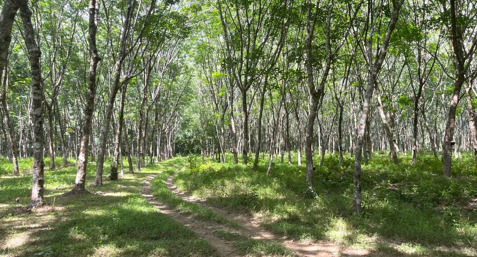 À vendre terrain à Takua Pa, Phang Nga