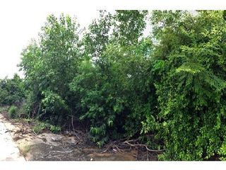 出售 土地 在 Ban Hong, Lamphun