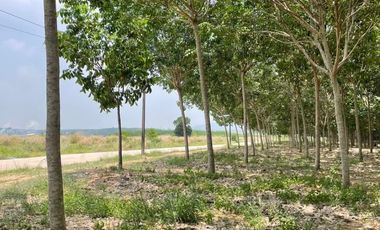 For sale land in Si Racha, Chonburi