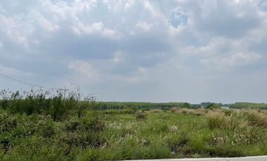 For sale land in Si Racha, Chonburi