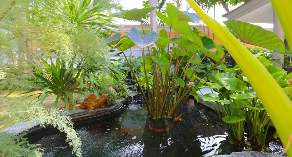 For sale 3 bed house in Bang Lamung, Chonburi