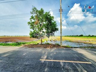 For sale land in Lat Bua Luang, Phra Nakhon Si Ayutthaya