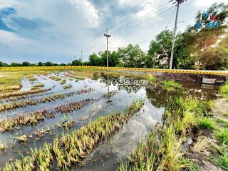 For sale land in Lat Bua Luang, Phra Nakhon Si Ayutthaya