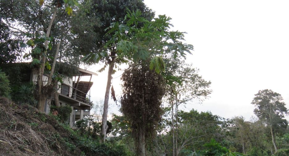 ขาย 10 ห้องนอน บ้านเดี่ยว ใน แม่ออน, เชียงใหม่