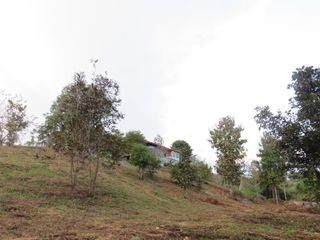 For sale 10 bedrooms house in Mae On, Chiang Mai