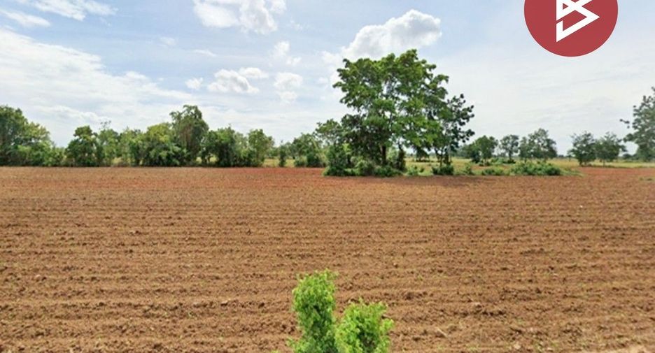 For sale land in Non Thai, Nakhon Ratchasima
