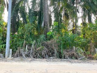 ขาย ที่ดิน ใน เมืองกระบี่, กระบี่