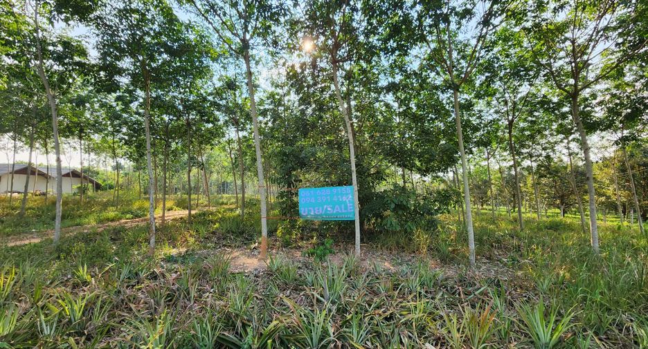 For sale land in Khao Chamao, Rayong