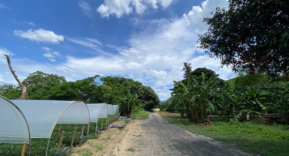 For sale land in Mae Rim, Chiang Mai