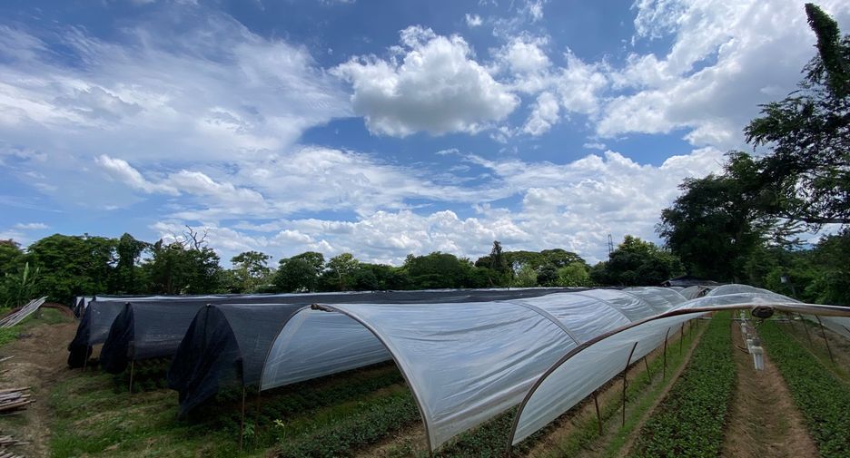 For sale land in Mae Rim, Chiang Mai