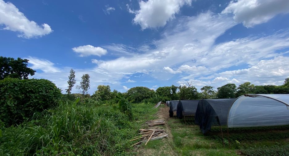 For sale land in Mae Rim, Chiang Mai