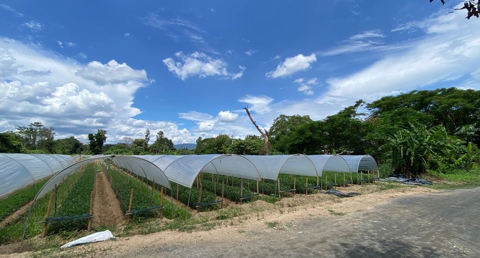 For sale land in Mae Rim, Chiang Mai