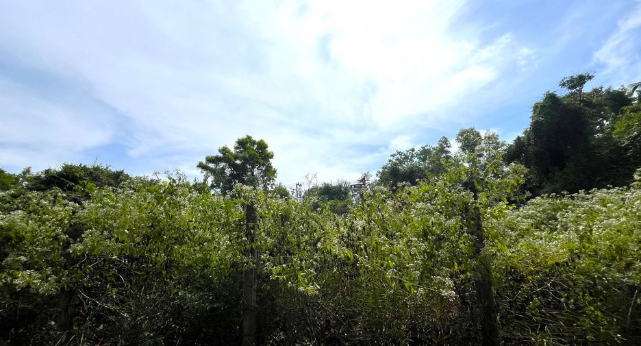 Terreno en venta en Thai Mueang, Phang Nga