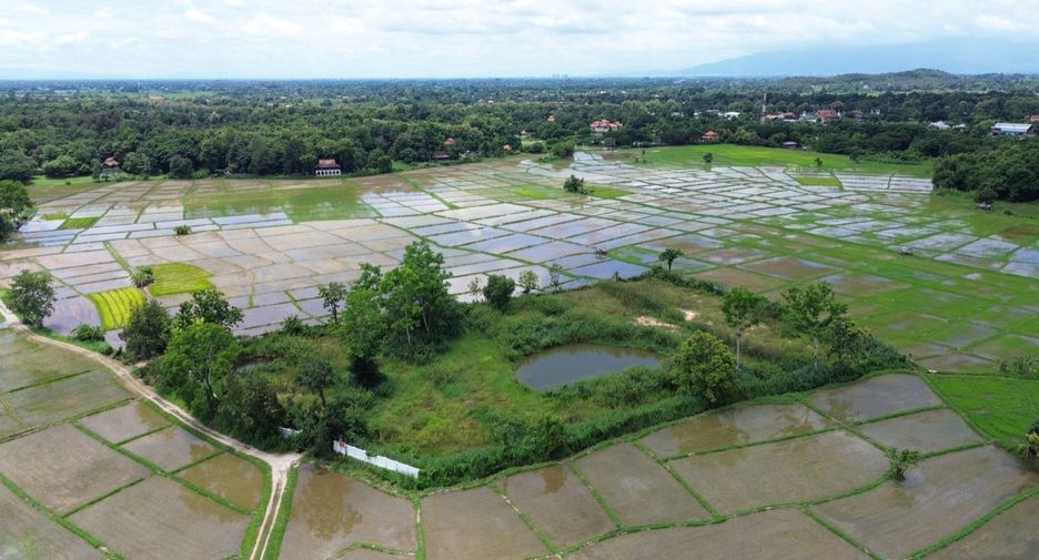 Terreno en venta en Doi Saket, Chiang Mai