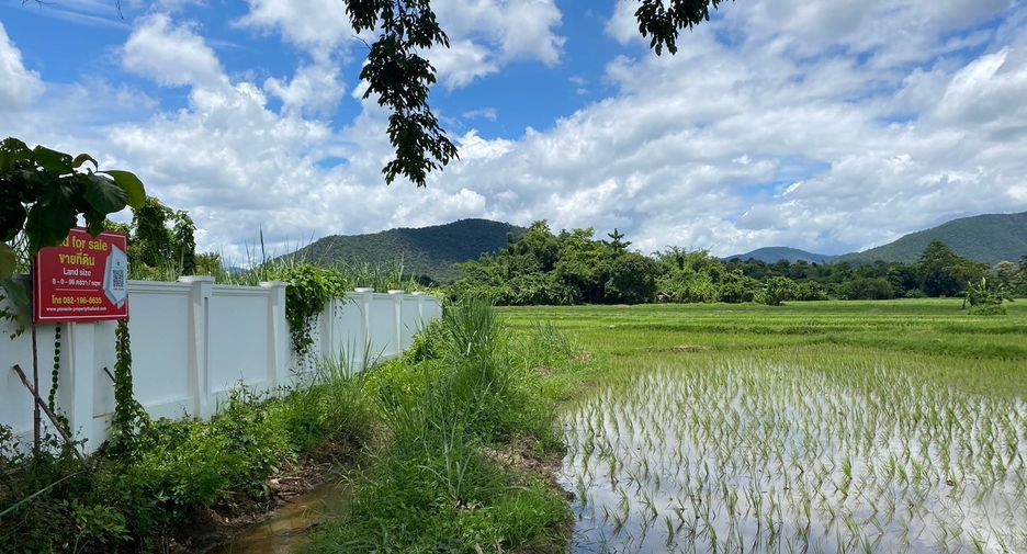 Terreno en venta en Doi Saket, Chiang Mai