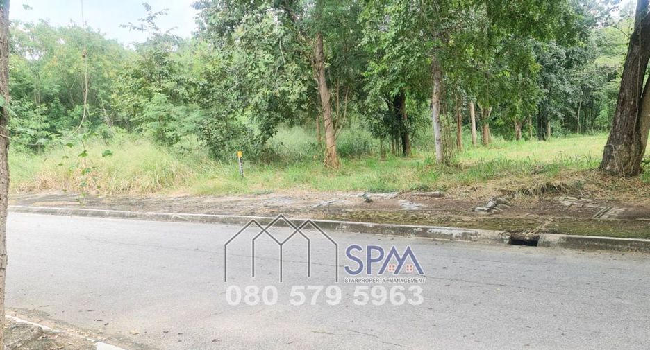 For sale land in Cha Am, Phetchaburi