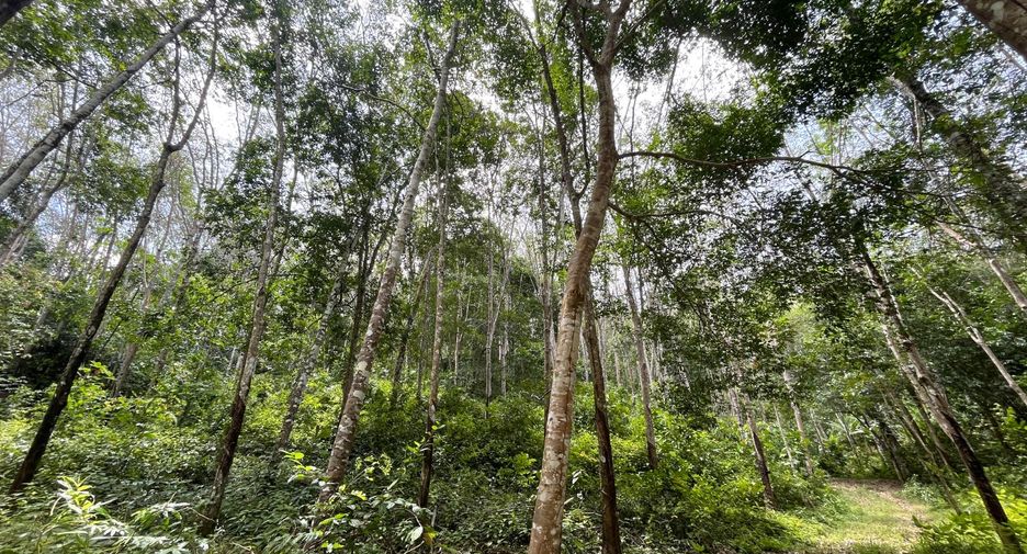 出售 土地 在 Takua Thung, Phangnga