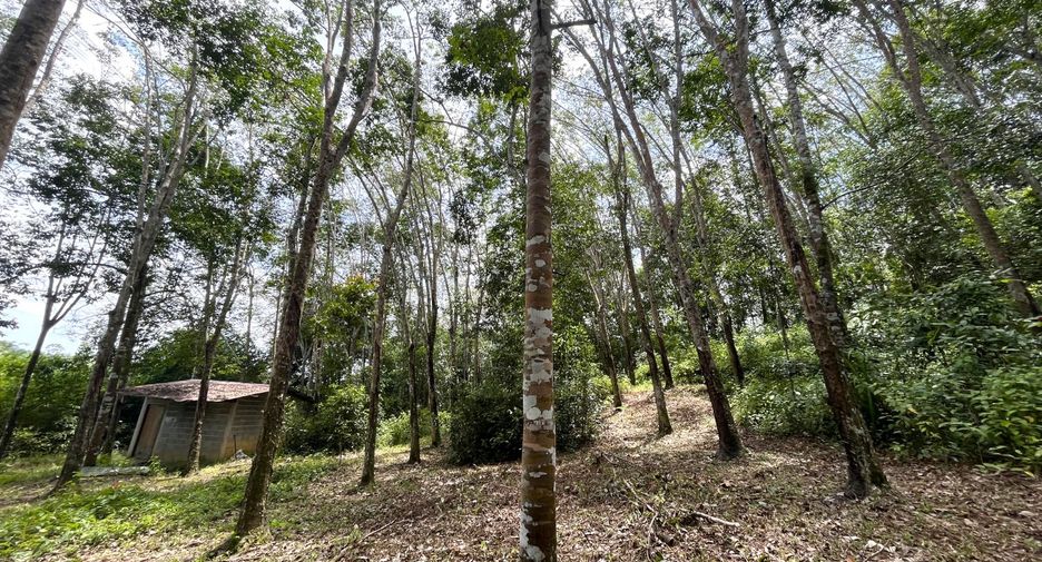出售 土地 在 Takua Thung, Phangnga