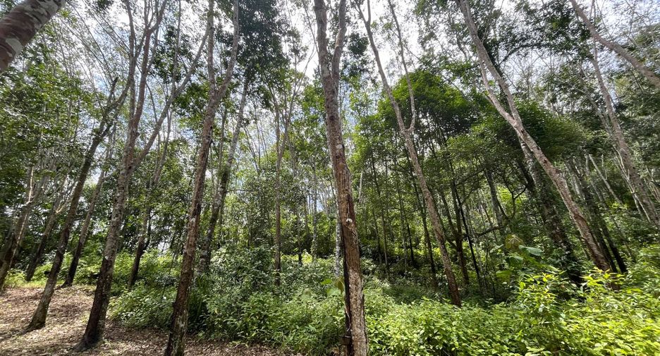 出售 土地 在 Takua Thung, Phangnga