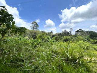 For sale land in Takua Thung, Phang Nga