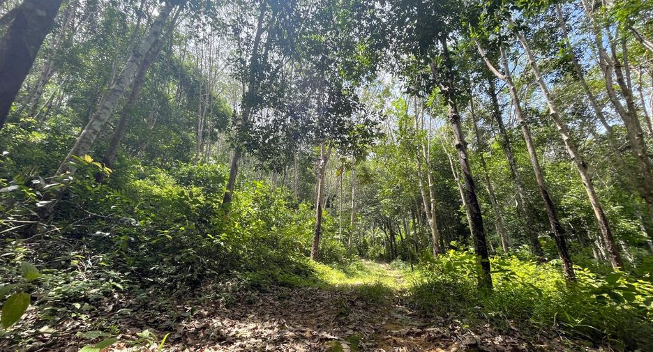 出售 土地 在 Takua Thung, Phangnga